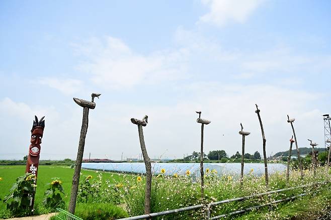 해바라기 축제 솟대 풍경. 논산시 제공