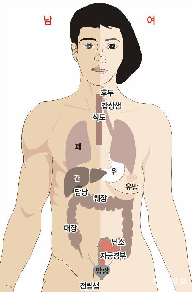 동아DB