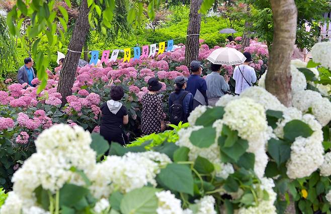 사진 공주시