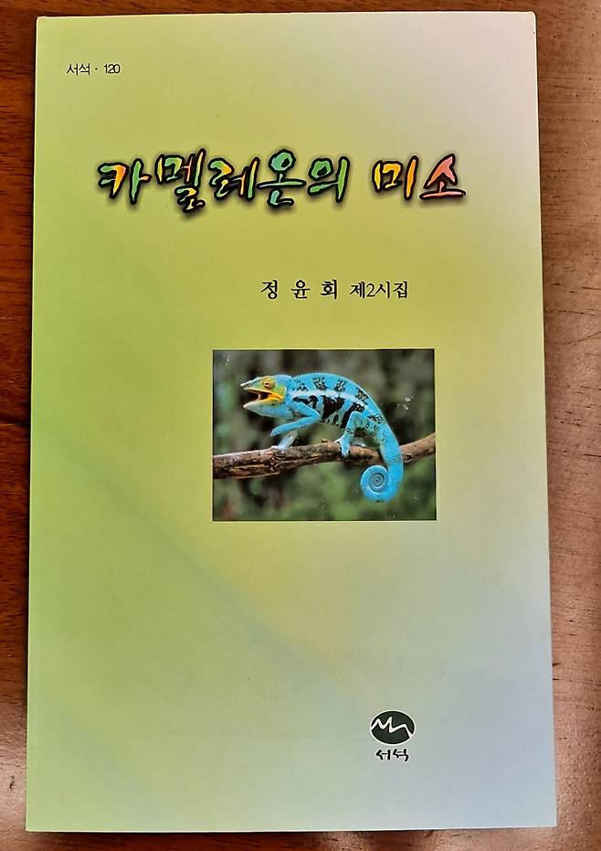 ▲ 두 번째 시집 ‘카멜레온의 미소’ 표지