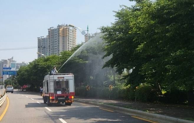 광명시가 관내 일명 러브버그(붉은등우단털파리) 발생에 따라 즉각적인 방재에 나섰다. / 사진제공-=광명시