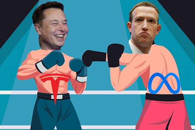 일론 머스크(왼쪽) 테슬라 CEO와 마크 저커버그 메타 CEO [게티이미지뱅크]
