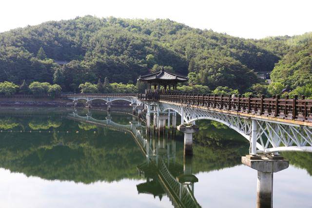 안동댐 아래 유수지에 설치된 월영교. ⓒ박준규