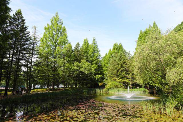 최근 인증사진 명소로 뜨고 있는 낙강물길공원. ⓒ박준규