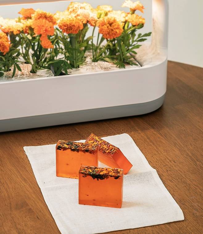 [사진출처 = LG전자]