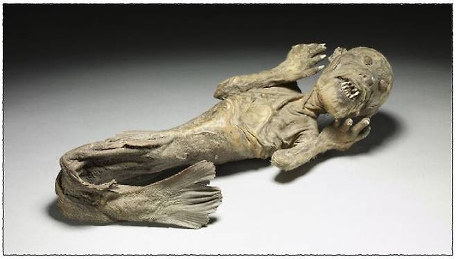 Mermaid(1700／1799) Photo: ⓒ Trustees of the British Museum
