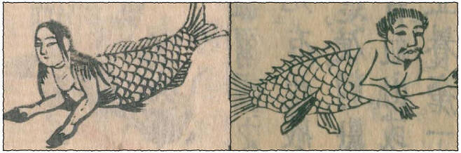 (오른쪽) The ningyo (人魚) aka ryōgyo (鯪魚, 'hill-fish') 데라지마 료안(寺島良安), 『화한삼재도회(和漢三才圖會)』, volume 80 of 81. (왼쪽) The Teijin (氐人), or the "Di people". 데라지마 료안(寺島良安), 『화한삼재도회(和漢三才圖會)』, volume 15 of 81