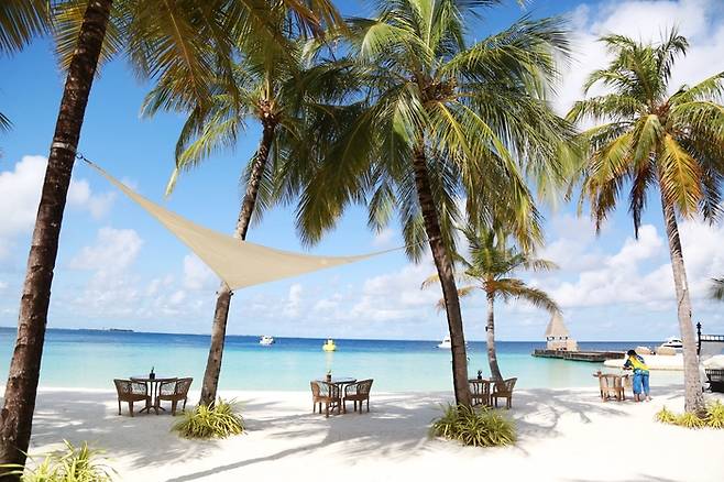 상구 비치&바. 사진제공|김관수(여행작가)