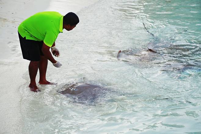 상구 비치&바 인근의 해변은 가오리 등 물고기들이 발아래서 헤엄을 친다. 사진제공|김관수(여행작가)