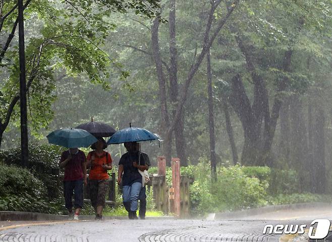 본격적인 장마가 시작된 26일 서울 남산에서 시민들이 우산을 쓰고 산책하고 있다. 2023.6.26/뉴스1 ⓒ News1 신웅수 기자