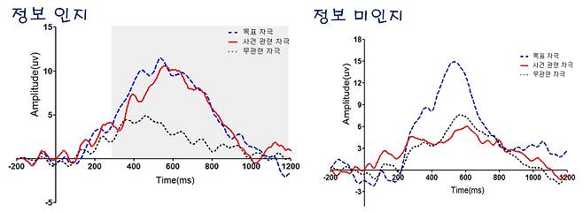 뇌파 검사 그래프. /대검찰청 제공