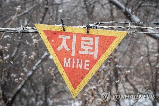 [사진 제공 = 연합뉴스]