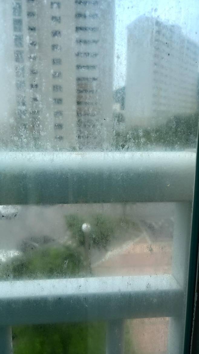 [온라인 커뮤니티]