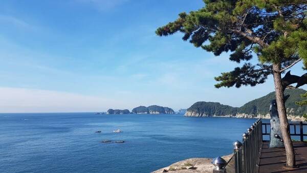 국내 돌고래 스팟 거제 돌고래전망대 / 온라인 커뮤니티