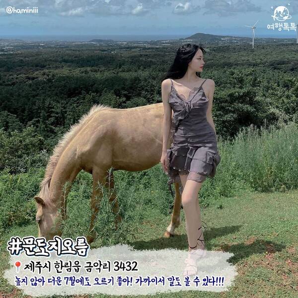 7월 제주 가볼만한 곳 / ⓒ여행톡톡 / 사진 @haminiii