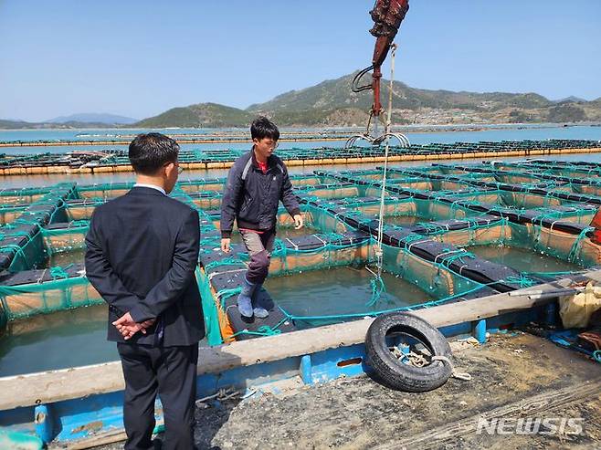 [완도=뉴시스] 어업인후계자 산업기능요원이 전복 양식장에서 근무하고 있다. (사진=전남도 제공) 2023.06.27. photo@newsis.com