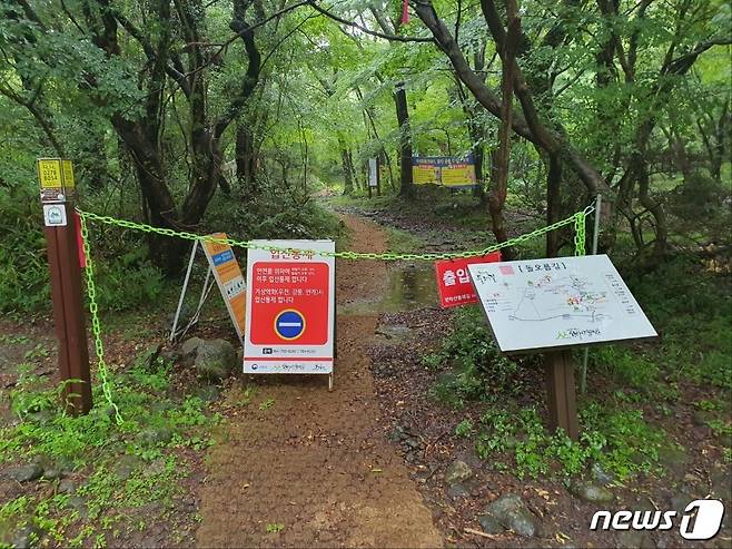 한라산둘레길(돌오름길). (산림청 제공) / 뉴스1