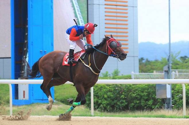 2022년 ‘부산시장배’ 우승을 차지한 위너스맨과 서승운 기수의 모습.