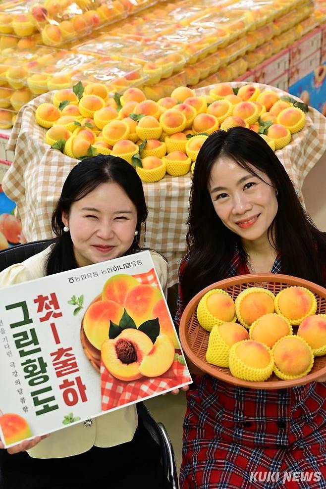 농협유통 농산가공사업부 유경근 부장은 “더운 여름 우리 몸에 필요한 영양분 섭취를 위해 과일 드시는 것을 추천해 드린다.”며 “맛있는 과일 드시고 건강하게 여름을 보내시기를 바란다.”고 밝혔다. (사진=농협유통)