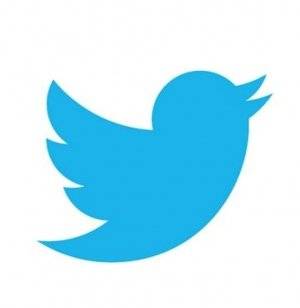 트위터 로고. /사진=트위터