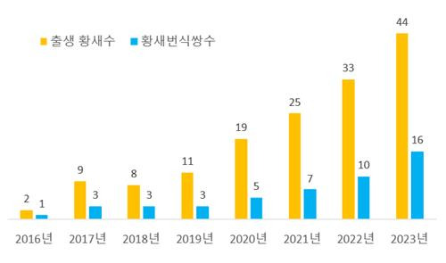 2016∼2023년 황새 번식쌍수 및 출생 황새 수 현황  [문화재청 제공. 재판매 및 DB 금지]