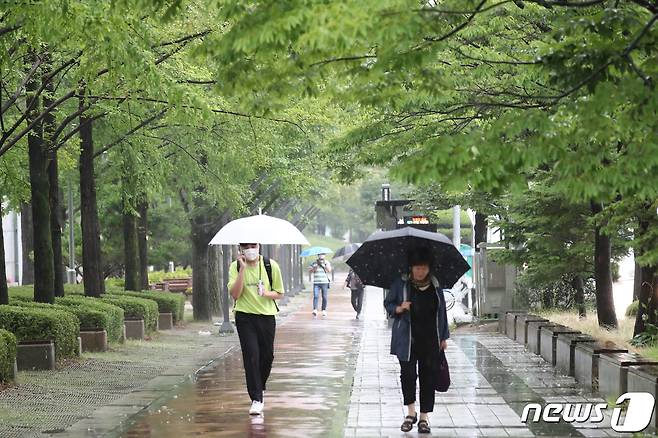 대전 서구 대전시청 인근에서 시민들이 우산을 쓰고 지나고 있다. 2020.6.29/뉴스1 ⓒ News1 김기태 기자