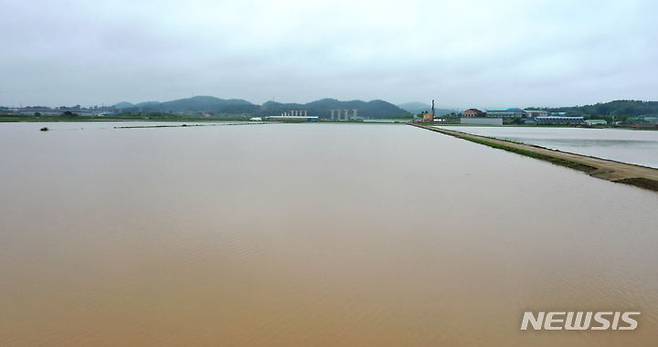 [함평=뉴시스] 변재훈 기자 = 밤사이 광주·전남에 거센 장맛비가 쏟아진 28일 전남 함평군 엄다면 성천리 일대 농경지가 흙탕물에 잠겨 있다. 2023.06.28. wisdom21@newsis.com