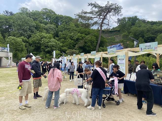 강아지숲 '2023 춘천 반려동물 페스티벌'  