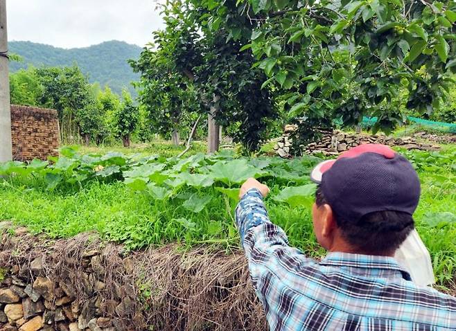 전남 순천시 서면 운평리 죽동마을의 이중근 회장 과수원·생가터. [사진=연합뉴스]