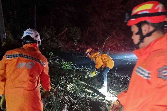 지난 29일 오후 9시 43분쯤 영월군 상동읍 내덕리에서 도로에 나무가 쓰러져 제거조치 됐다. 강원소방본부 제공.