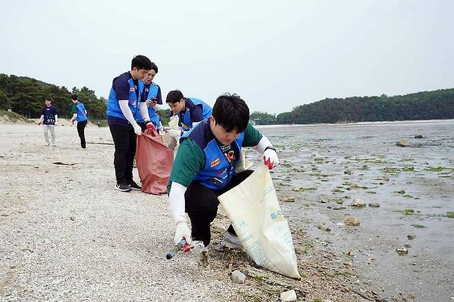 지난달, 바다의 날을 맞아 제너시스BBQ 그룹이 반려해변으로 입양한 인천 용유해변에서 버려진 생활·해양쓰레기를 회수하고 있다