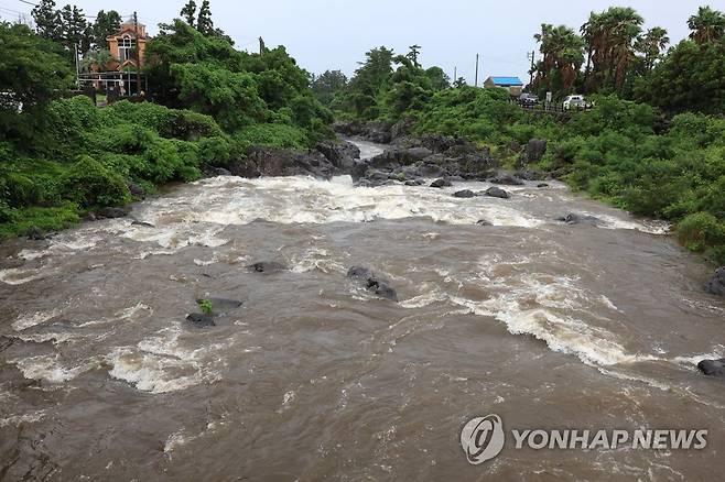 급류로 변한 무수천 (제주=연합뉴스) 박지호 기자 = 호우가 쏟아진 30일 오후 제주시 도평동 무수천에 흙탕물이 세차게 흐르고 있다.
    무수천은 건기에는 물이 거의 흐르지 않는 건천이다. 2023.6.30 jihopark@yna.co.kr