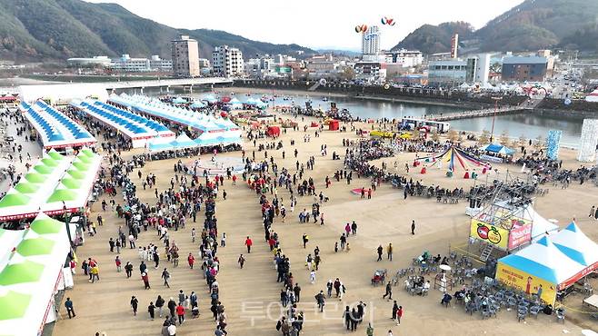 청송사과축제