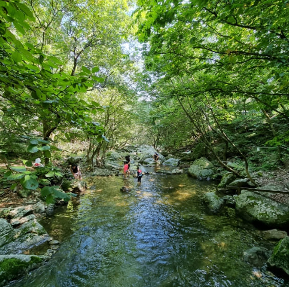 온라인 커뮤니티