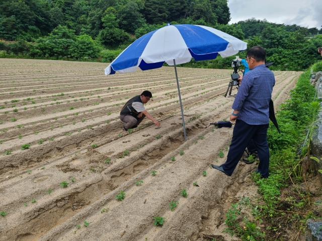 영주시 상망동 주민이 표범의 것으로 추정된다고 신고한 동물 발자국을 생물자원관 관계자가 조사하고 있다. 영주시 제공