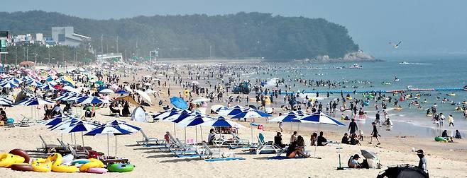 1일 개장한 서해안 최대 충남 보령 대천해수욕장에 몰린 피서인파. 15만여 명이 찾은 것으로 잠정 집계됐다.