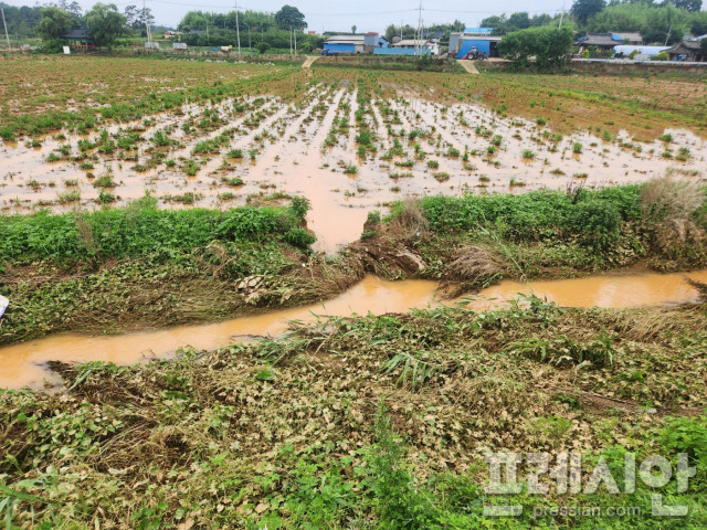 ▲나주시 다시면 동곡리 일대 농경지  옆 배수로가 지난 28일 새벽 내린비로 둑이 터졌다. 배수로 내부 대부분 수초로 가득차 있다.2023.6.28ⓒ프레시안