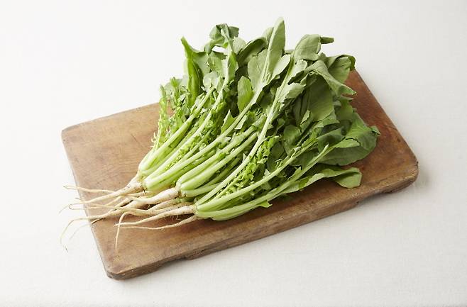 열무 [농촌진흥청 제공]