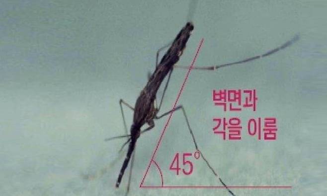 사진= 질병청 제공