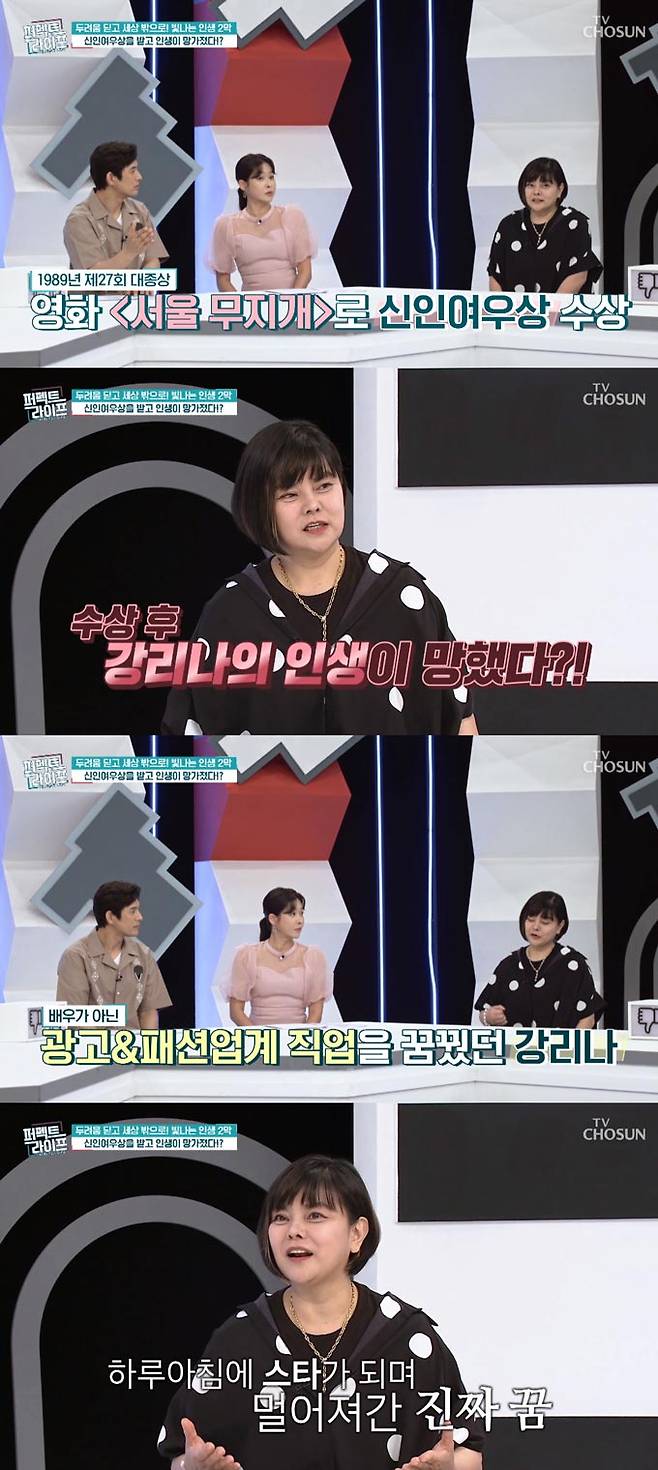 /사진=TV조선 '퍼펙트 라이프' 방송 화면