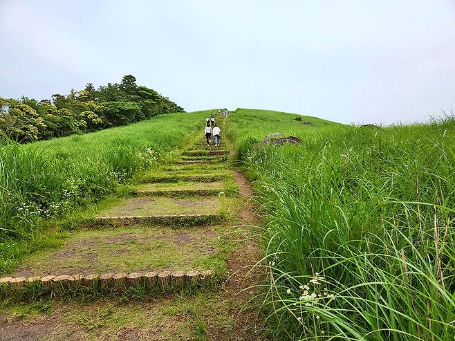 규슈 올레 히라도 코스[사진/현경숙 기자]