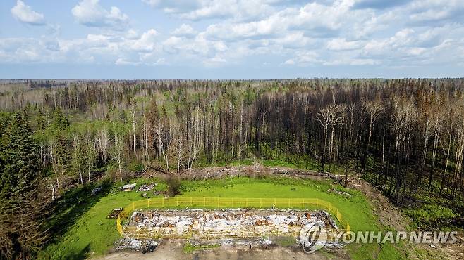 산불로 파괴된 캐나다 산림 [AP=연합뉴스]