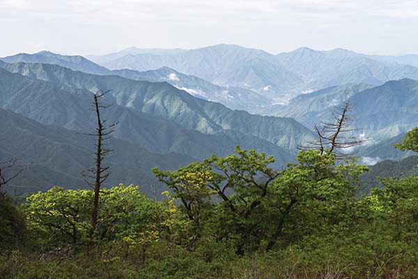 찰나의 순간마다 지리산은 뚜렷한 모습을 보여 줬다. 나는 이것을 놓치지 않았다.고사목 뒤로 촘촘하게 메워진 능선들이 내려다보였다.