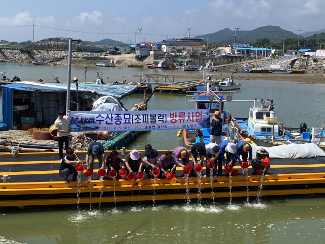 전남 함평군은 함평만 내 서식 환경에 양호한 국민 생선으로 불리는 조피부락(우럭) 23만 마리를 방류했다. 사진 제공=전라남도