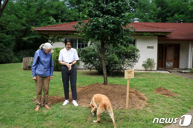 김건희 여사가 7일 서울 용산어린이정원 내 어린이 환경·생태 교육관 예정지에서 영장류학자이자 환경운동가인 제인 구달(Jane Goodall) 박사와 기념 식수를 마친 뒤 은퇴 안내견 새롬이를 보며 대화하고 있다. (대통령실 제공) 2023.7.7/뉴스1 ⓒ News1 안은나 기자