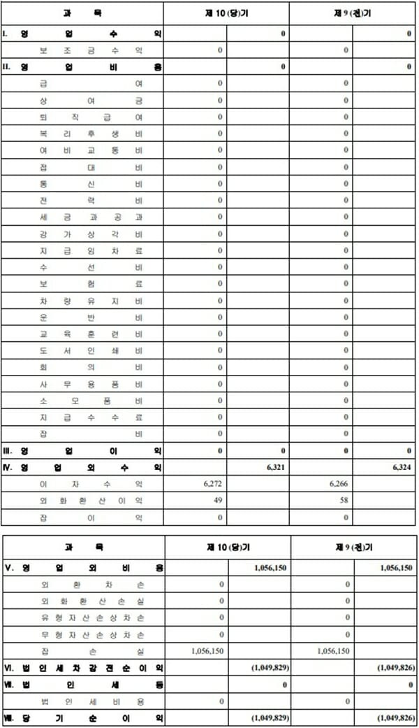 한국보건산업진흥원이 올해 1분기에 공개한 2021년과 2022년 자회사 '코리아메디컬홀딩스' 손익계산서