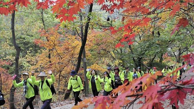 동국제약 동행캠페인 참가자들이 산행을 즐기는 모습 [사진제공=동국제약]