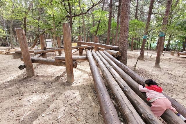 전주 베짱이숲놀이터에서 한 아이가 나무에 올라타며 시간을 보내고 있다. 문정임 기자