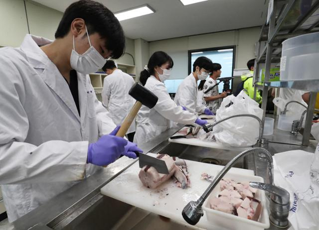 일본 후쿠시마 오염수 방류를 앞둔 7일 오후 부산 중구 국립수산물품질관리원 부산지원에서 관계자들이 방사능 검출 여부를 확인하기 위해 최근 수거한 수산물 시료를 손질하고 있다. 뉴스1