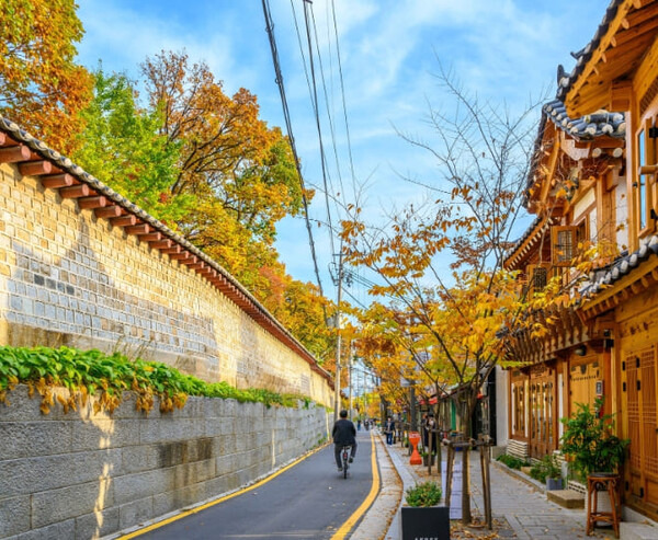 메인 방송사